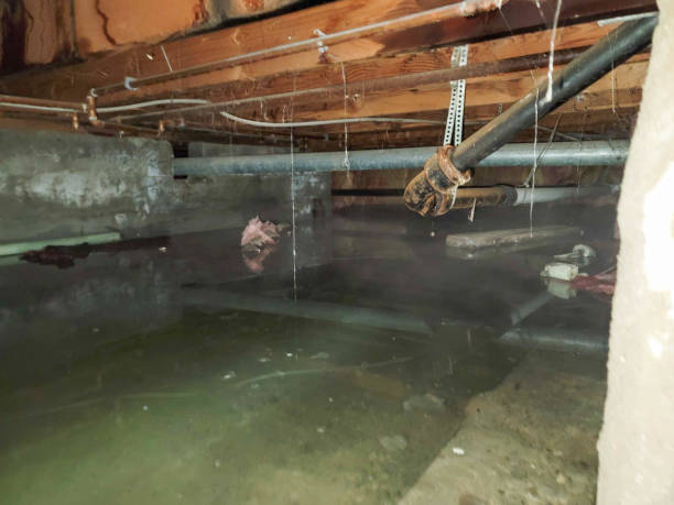Best Fire Damage Restoration  in Marshall, WI