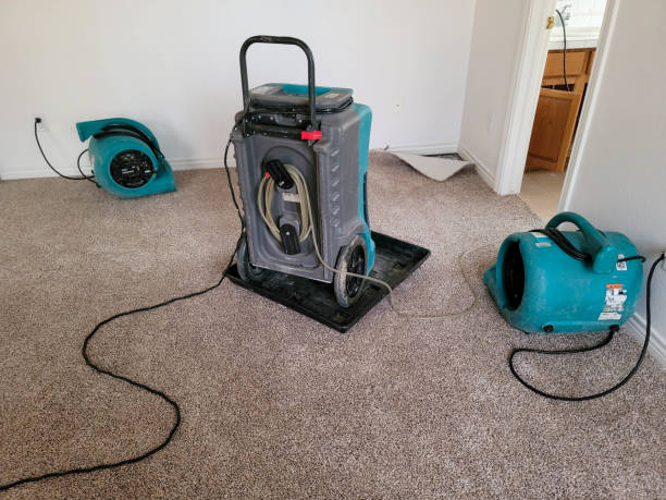Best Basement water damage restoration  in Marshall, WI
