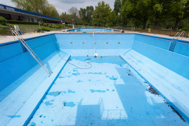 Best Mold removal after water damage  in Marshall, WI