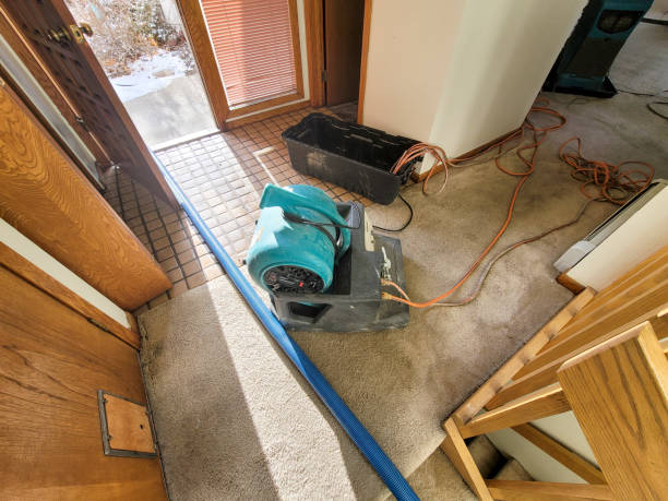 Best Water damage restoration near me  in Marshall, WI