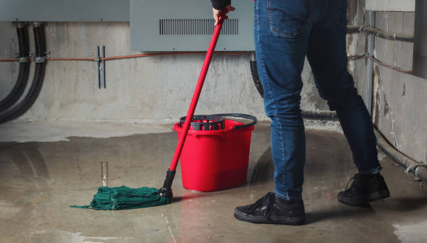 Best Water damage repair service  in Marshall, WI