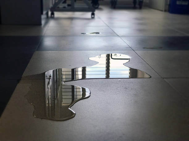Best Commercial water damage restoration  in Marshall, WI
