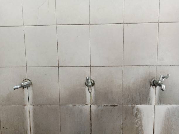 Best Flooded house restoration  in Marshall, WI
