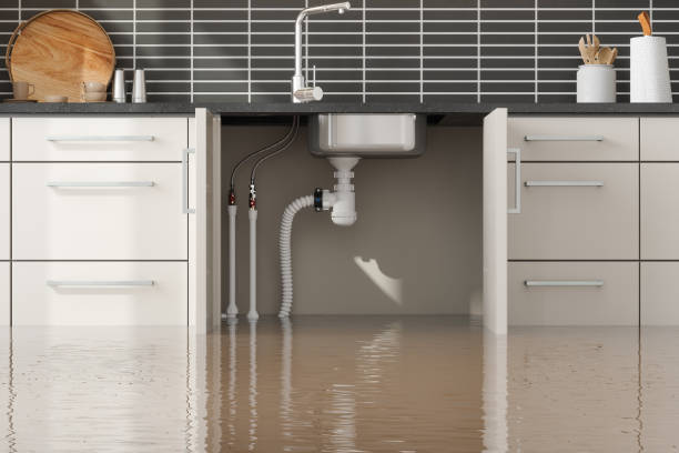 Best Carpet water damage restoration  in Marshall, WI