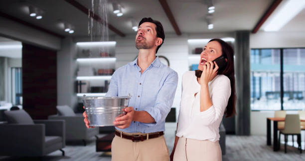 Best Fire Damage Restoration  in Marshall, WI
